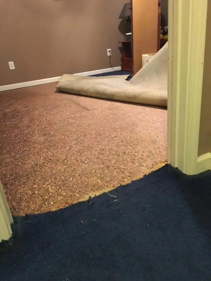 Carpet pad removal revealing water damage during Drying & Dehumidification in Elizabethton