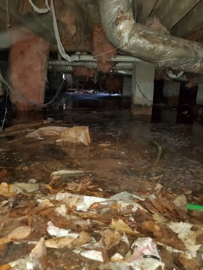 Crawl space flood assessment for Leak Detection & Repair in Elizabethton